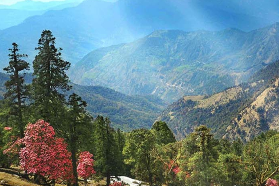 Delightful Uttarakhand Tour